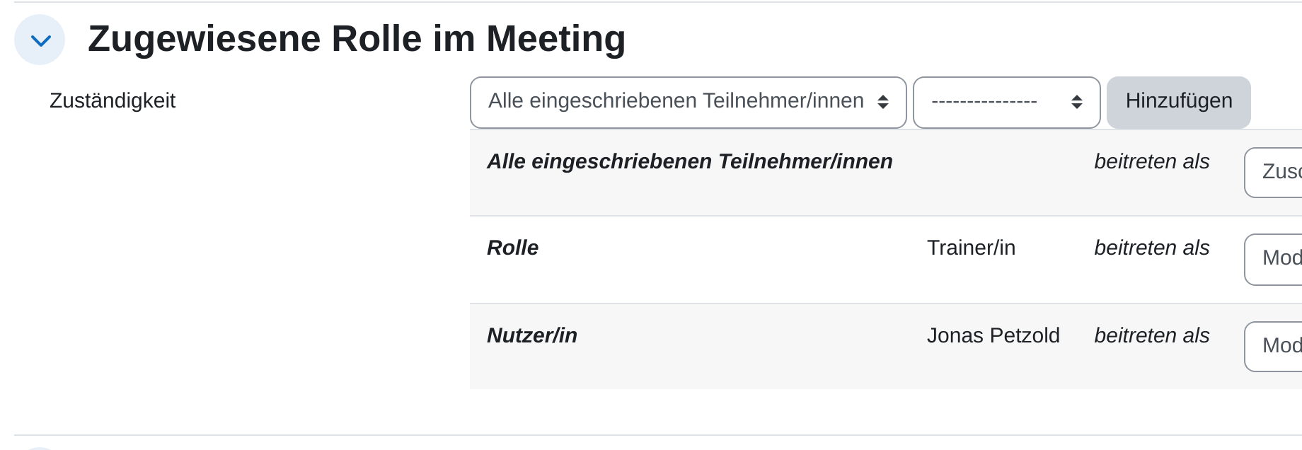 Abschnitt „Zugewiesene Rolle im Meeting“ mit der Zeile zum Hinzufügen einer Zuständigkeit und der Liste der bereits vergebenen Rollen