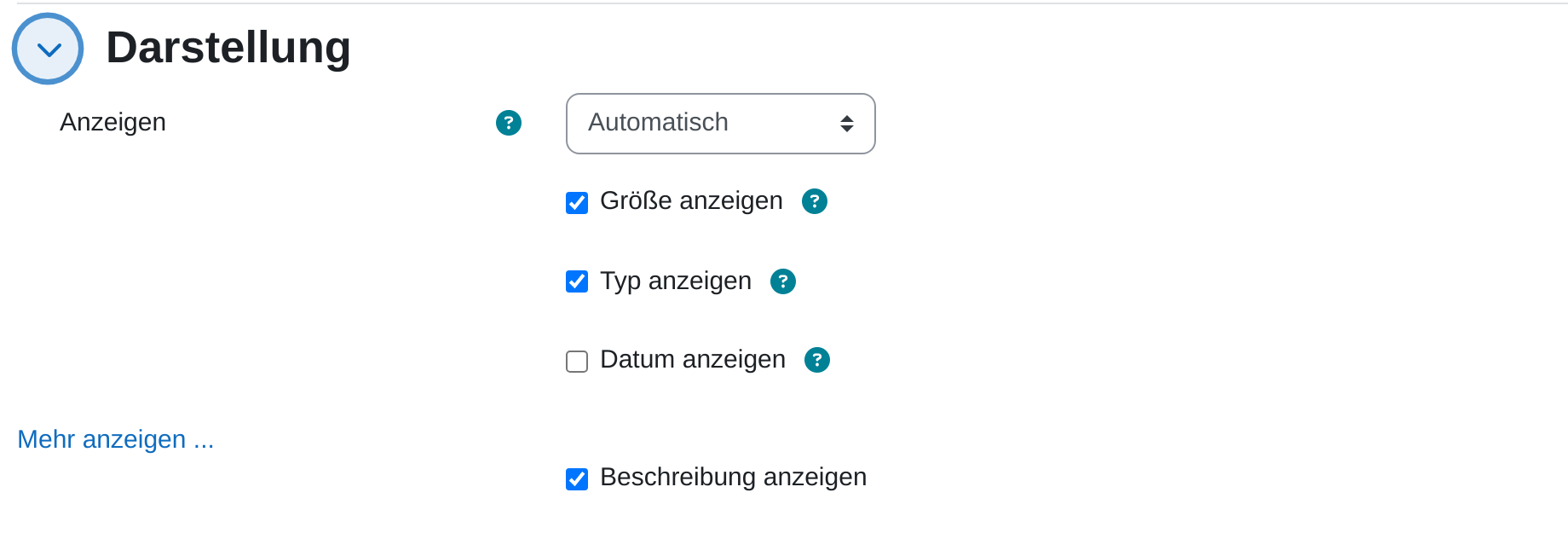 Einstellungsabschnitt „Darstellung“ mit dem Auswahlfeld Anzeigen auf „Automatisch“ und den Kästchen Größe anzeigen, Typ anzeigen, Datum anzeigen und Beschreibung anzeigen