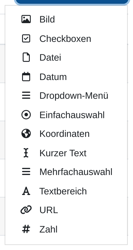 Geöffnetes Menü der Schaltfläche „Neues Feld erstellen“ mit zwölf Einträgen von Bild bis Zahl, jeder mit einem eigenen Symbol