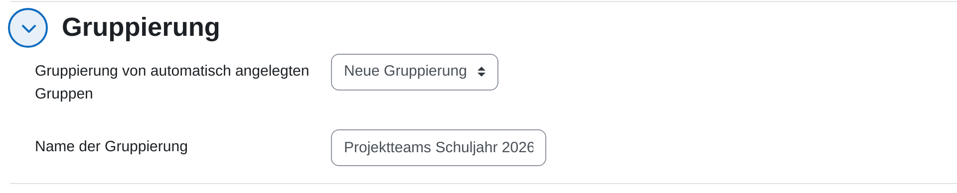Abschnitt „Gruppierung“ mit dem Auswahlfeld „Gruppierung von automatisch angelegten Gruppen“ auf „Neue Gruppierung“ und dem darunter ausgefüllten Feld „Name der Gruppierung“