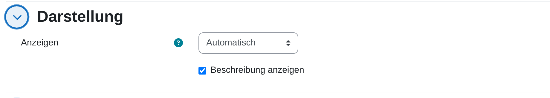 Einstellungsabschnitt „Darstellung“ mit dem Auswahlfeld Anzeigen auf „Automatisch“ und dem Kästchen „Beschreibung anzeigen“