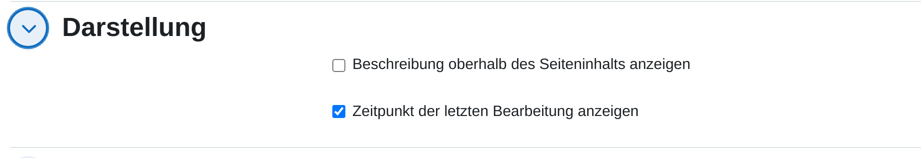 Einstellungsabschnitt „Darstellung“ einer Textseite mit den Kästchen für die Anzeige der Beschreibung und des Zeitpunkts der letzten Bearbeitung