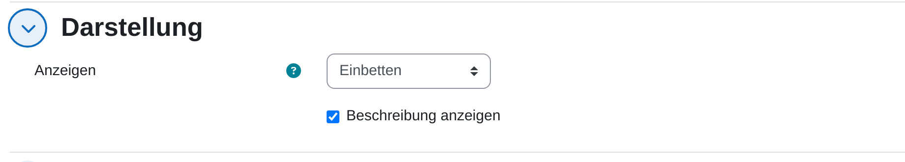 Einstellungsabschnitt „Darstellung“ eines Links mit dem Auswahlfeld Anzeigen auf „Einbetten“ und dem gesetzten Kästchen „Beschreibung anzeigen“
